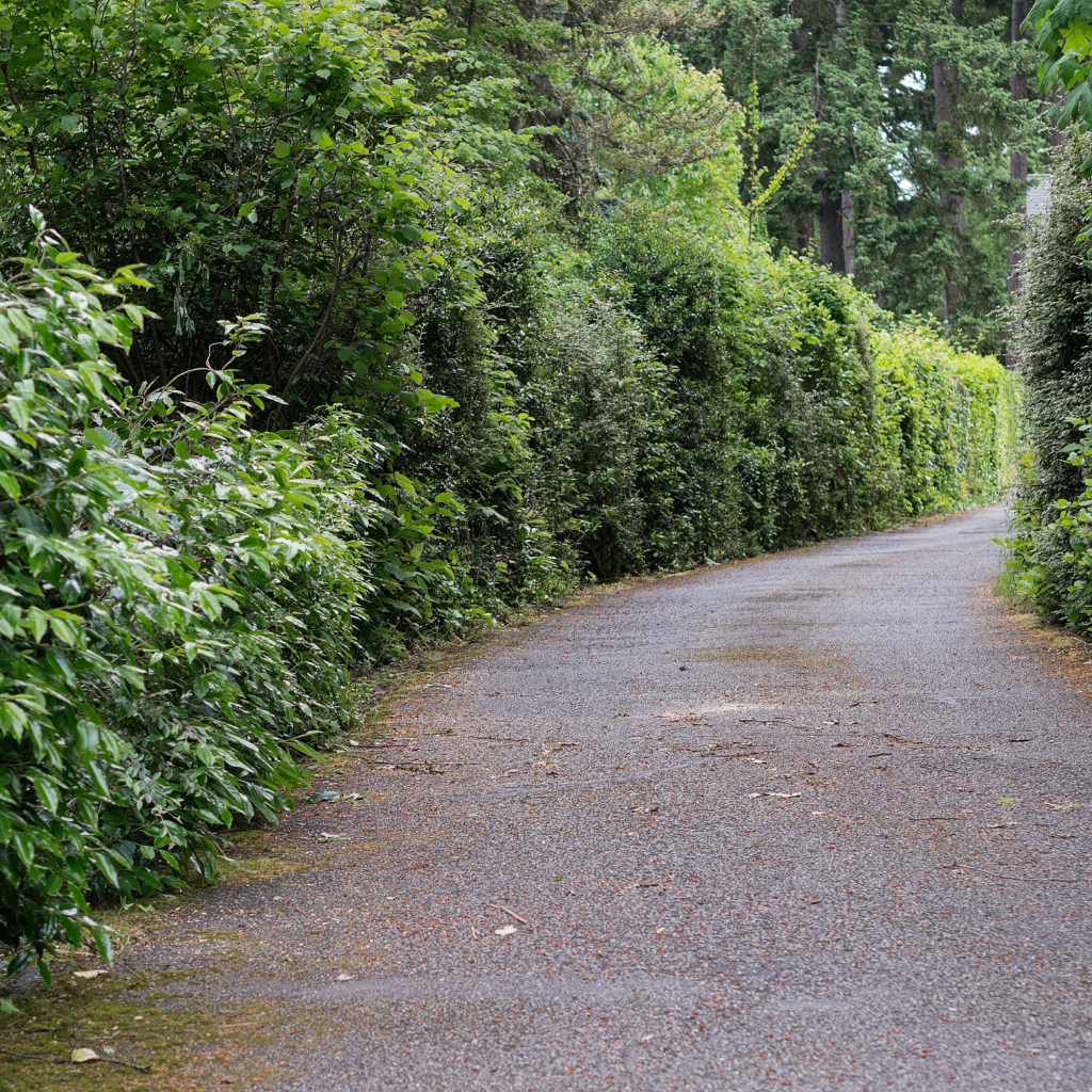 Quality Tarmaced Driveway by WCD Leasowe driveway company